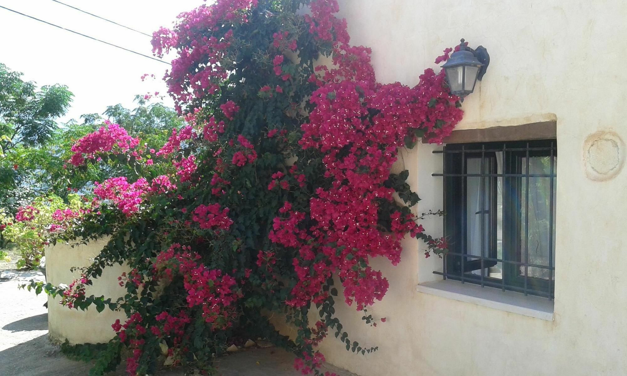 Vila Petra & Elia Megala Chorafia Exteriér fotografie